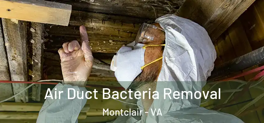  Air Duct Bacteria Removal Montclair - VA