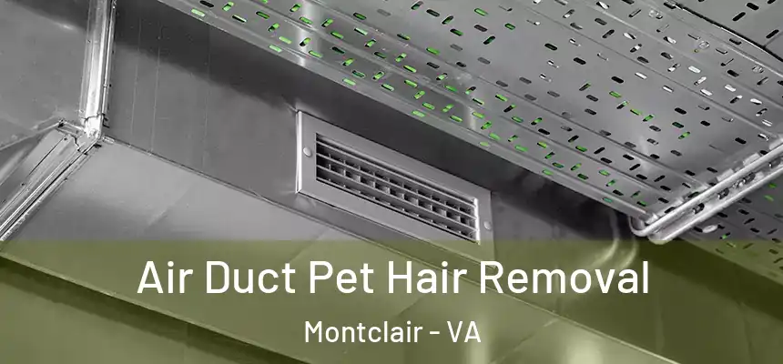  Air Duct Pet Hair Removal Montclair - VA