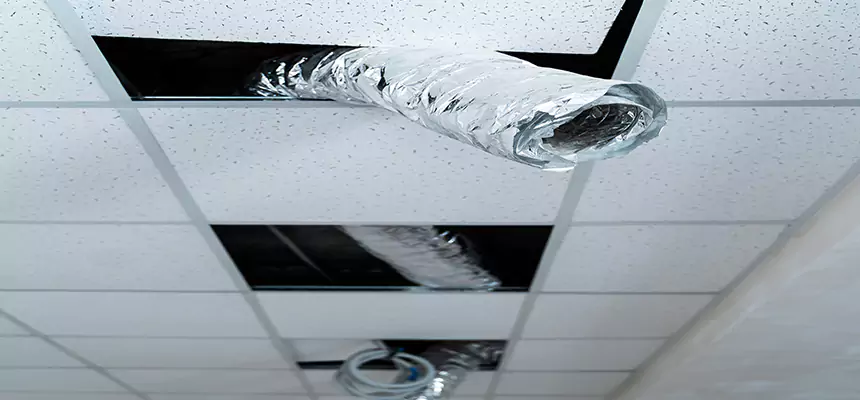 Our Air Duct Pet Hair Removal Services in Montclair, VA