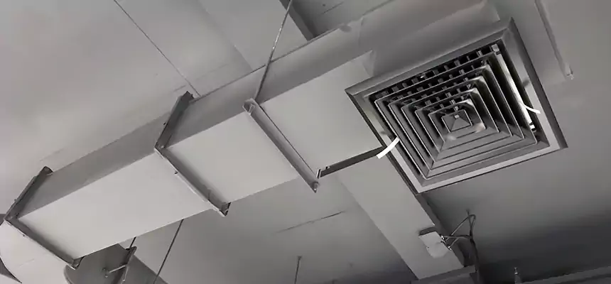 Restorative Allergy Relief Vent Cleaning – Coil, Blower & Housing Detail in Montclair