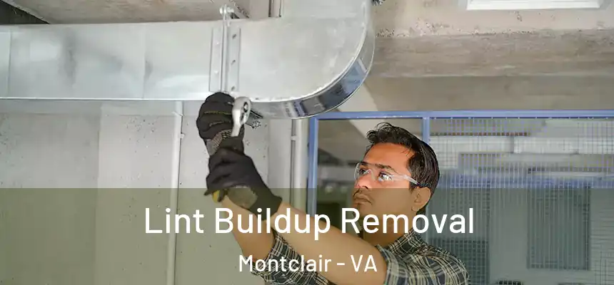 Lint Buildup Removal Montclair - VA