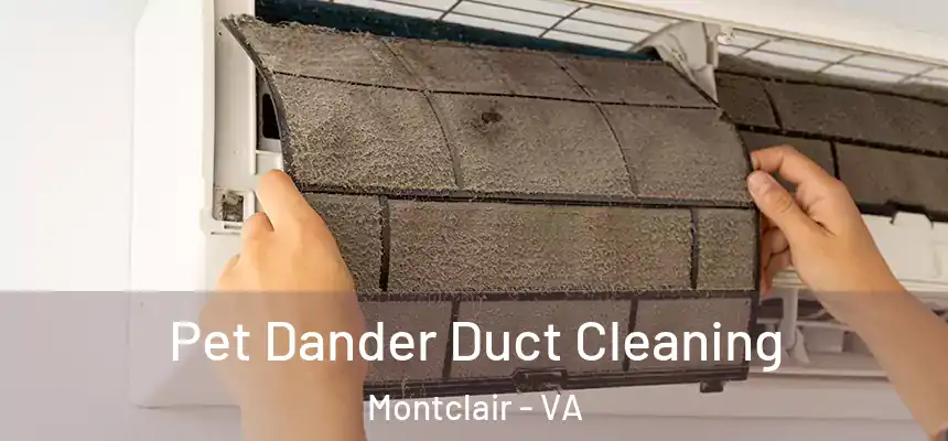 Pet Dander Duct Cleaning Montclair - VA