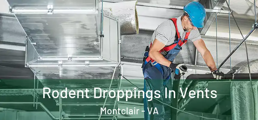Rodent Droppings In Vents Montclair - VA