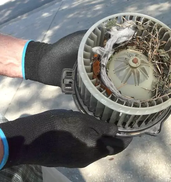 About Air Duct Mice Removal in Montclair, VA