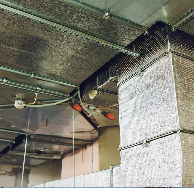 Why Homeowners & Businesses Trust Us Montclair, VA?